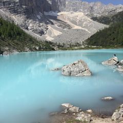 阿妈家特色藏餐(九寨沟店) User Photo
