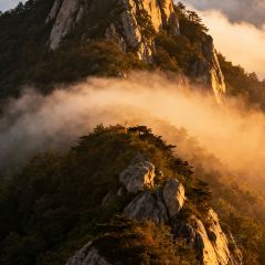 渔味堂南湾鱼三吃(湖东店) User Photo