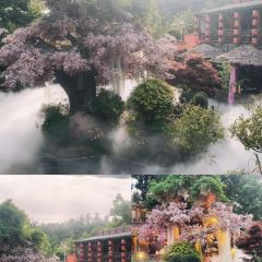 芙蓉裡•小漁村 （金星路店）張用戶圖片