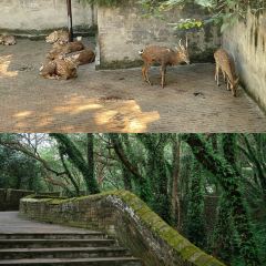 紫阳牛肉麦虾 User Photo