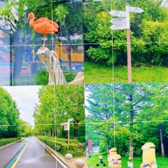 MA XIAO MA JIA User Photo