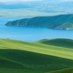 古兰丹姆冰激凌店 User Photo