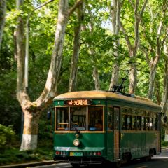 MAJIA RESTAURANT 여행 사진