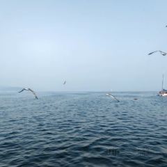 喜鼎海胆水饺(星海湾壹号店) 여행 사진