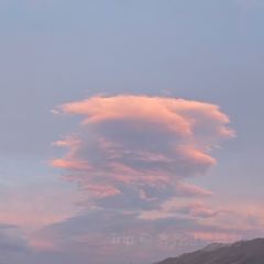 艾沙江达吾提烤包子(新友好美食街店) User Photo