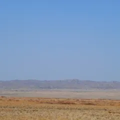 CHANGLUOHOU·BEEF PATTY WITH ALLIUM MONGOLICUM User Photo
