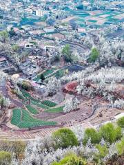 Jinchuan River Valley