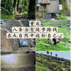 陶四喜火锅(五里店店) User Photo