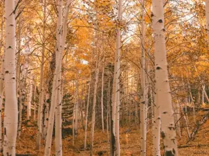 Horton Creek Trailhead