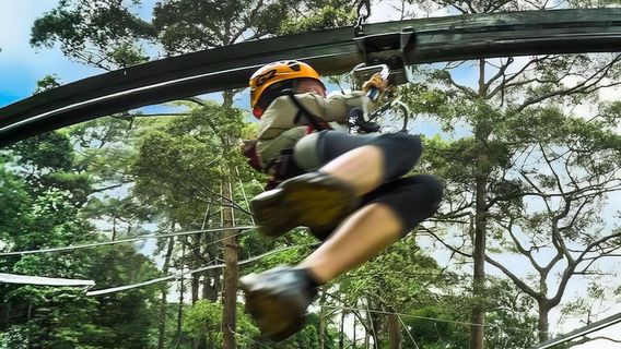 Sky Hawk Zipline Chiangmai