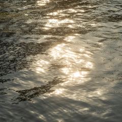 观湖台 User Photo