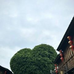 Lao Fu Zhou (Xi Hong Road) User Photo