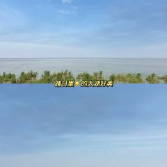 XU ZHONG LIANG CHUAN TONG DING SHENG GAO User Photo