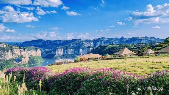 hua dou li · hua wu du jia ying di