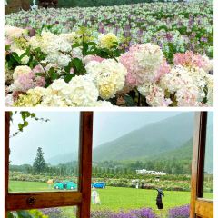 听花谷餐厅 User Photo