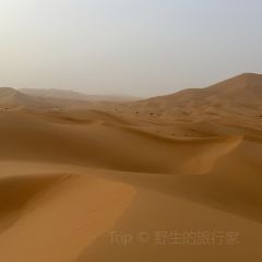 El Morocco Club User Photo