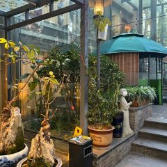 320老滇缅佴家湾198号花园餐厅 User Photo