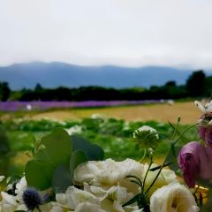 听花谷餐厅 User Photo