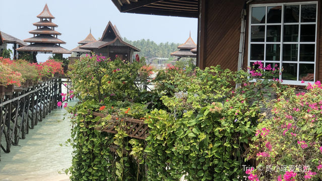 SWV Observation Tower