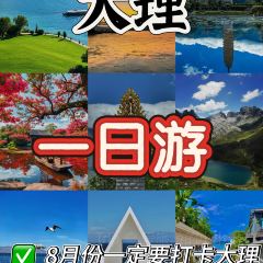 太理过桥米线店 User Photo