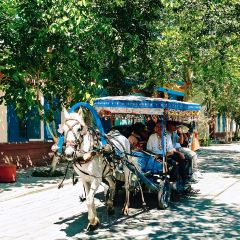 开克力瓦大盘鸡(伊犁街店) User Photo