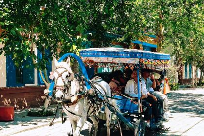 开克力瓦大盘鸡(伊犁街店)