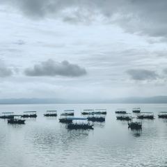 抚仙湖大知闲闲民宿·掌间 User Photo
