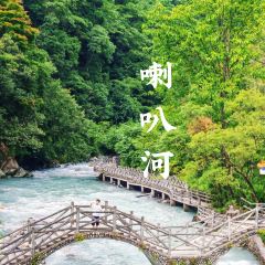 梅子山庄·土司宴 User Photo