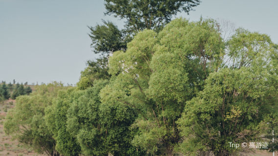 sheng shui cao yuan ( sha ba ri tai dian )