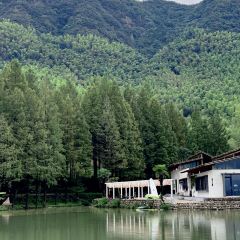 雲崖瀑布咖啡張用戶圖片