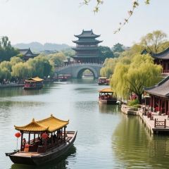 大刀面(升龙广场店) User Photo