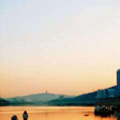 近水樓台園林食府張用戶圖片