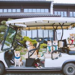 Shan Chinese Restaurant User Photo