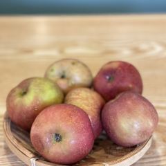 有芬餐馆 User Photo