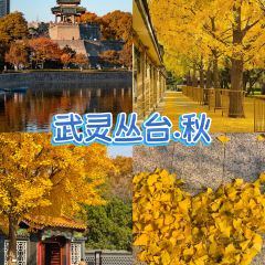 李家庄农家院 User Photo