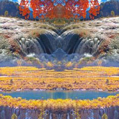 卡万金特色藏餐 User Photo