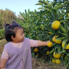 明味生態農莊張用戶圖片