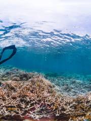 Palolo Deep Marine Reserve