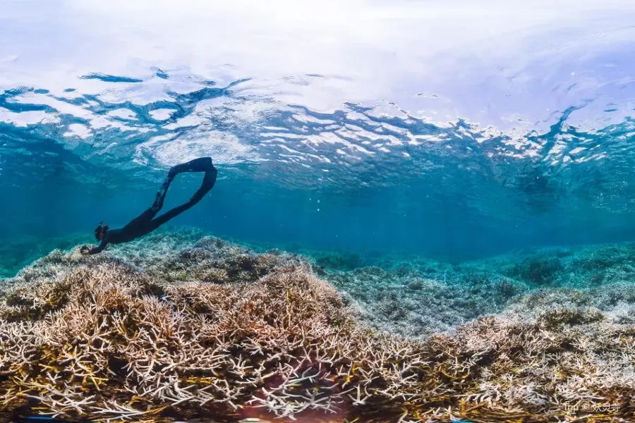 Palolo Deep Marine Reserve