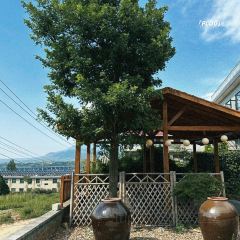 山飨茶饭·Café User Photo