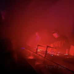 POTENT張用戶圖片