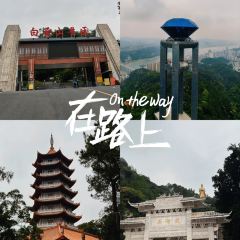 五福堂龟苓膏(河东北山店) User Photo