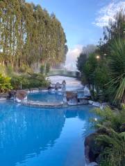 Wairakei Terraces & Thermal Health Spa