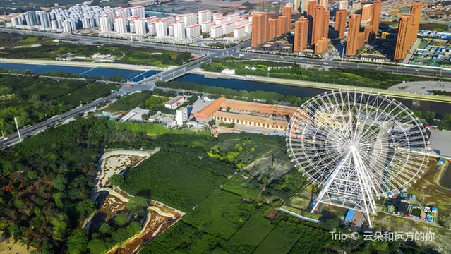 Ferris Wheel Theme Park