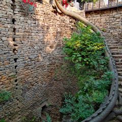 梦月山庄中餐厅 User Photo