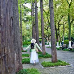 GOOD GOODS咖啡店(南园店) User Photo