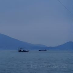 刘记鱼馆(东平店) User Photo