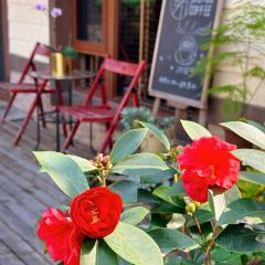 有冇咖啡(碧桂园·清泉城店) User Photo