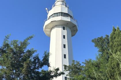 釜山豚骨汤饭(芝罘万达广场店)
