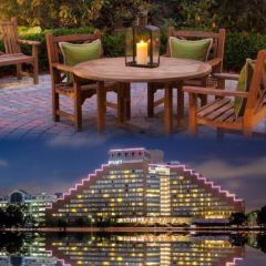 Paperback Tavern User Photo